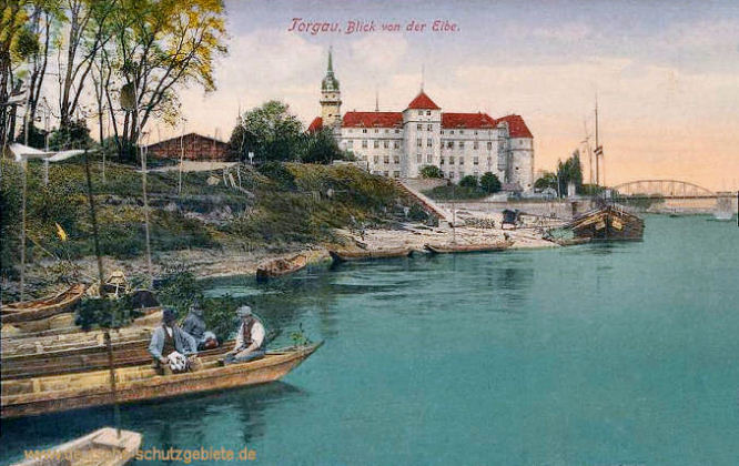 Torgau, Blick von der Elbe